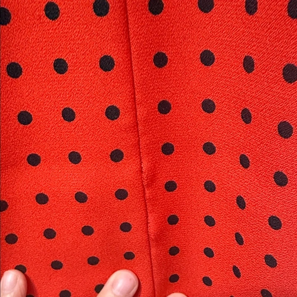 J. Crew Red and Black Polka Dot Mini Dress size 4